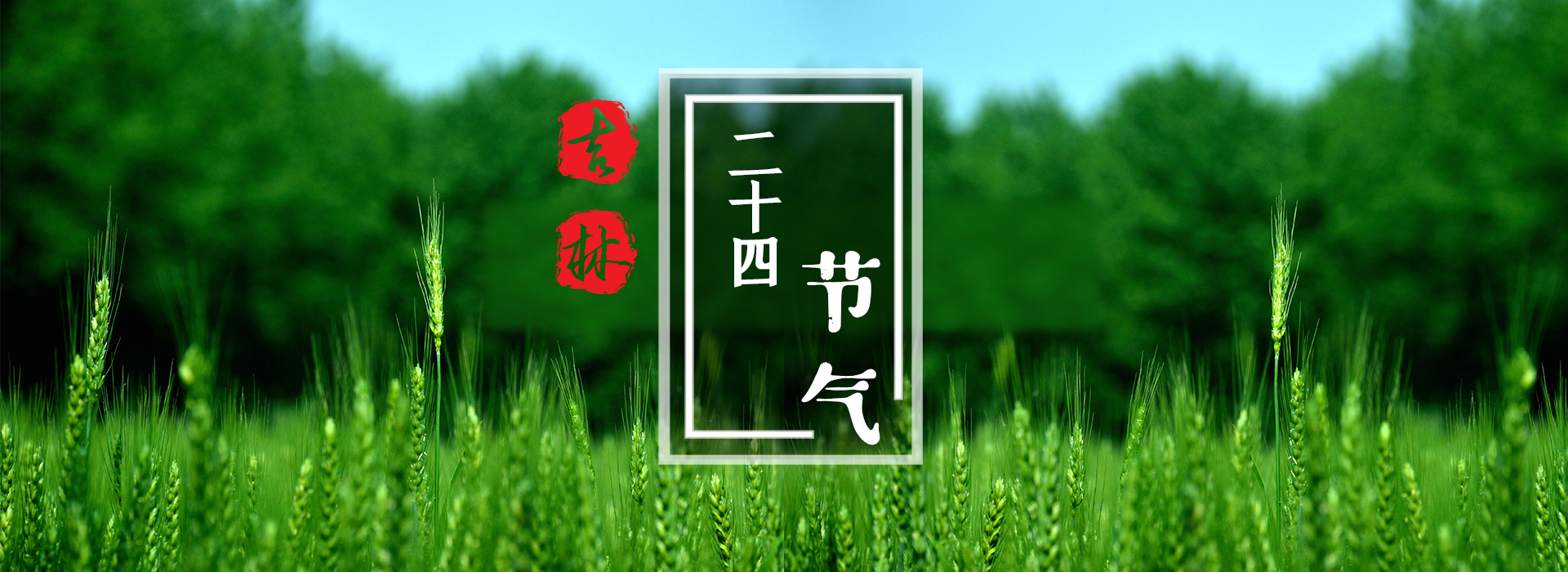 24節(jié)氣背景圖.jpg